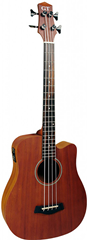 25 Acoustic-Electric Micro Bass with  