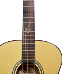 Sevinia Electro-Acoustic?Guitars with Soli 