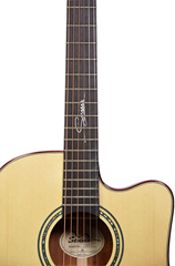 Sevinia Electro-Acoustic?Guitars with Soli 