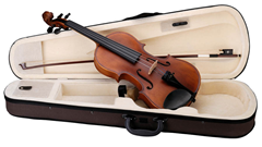 Virtuoso Pro Violin with Case - Choice 